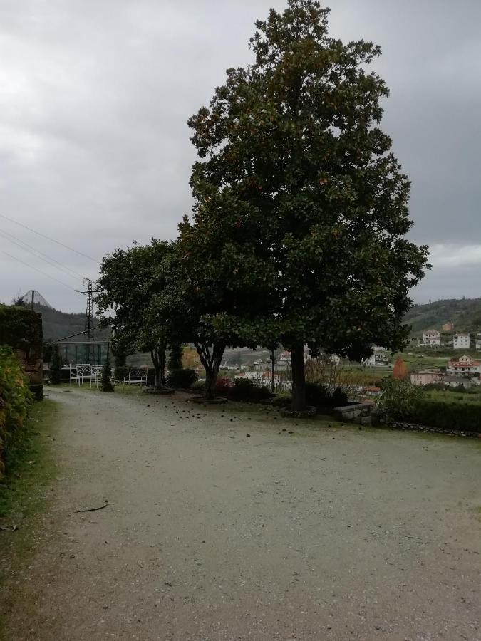 Quinta Da Tapada Villa Avô Exteriör bild