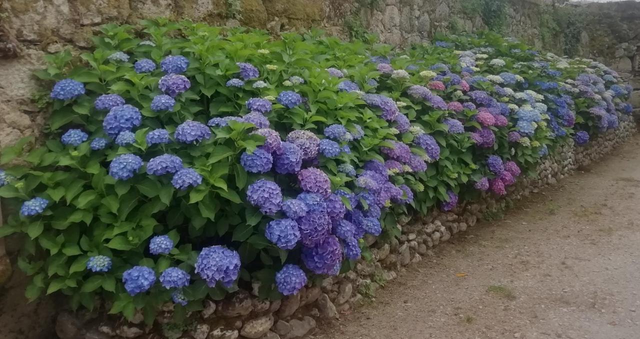 Quinta Da Tapada Villa Avô Exteriör bild