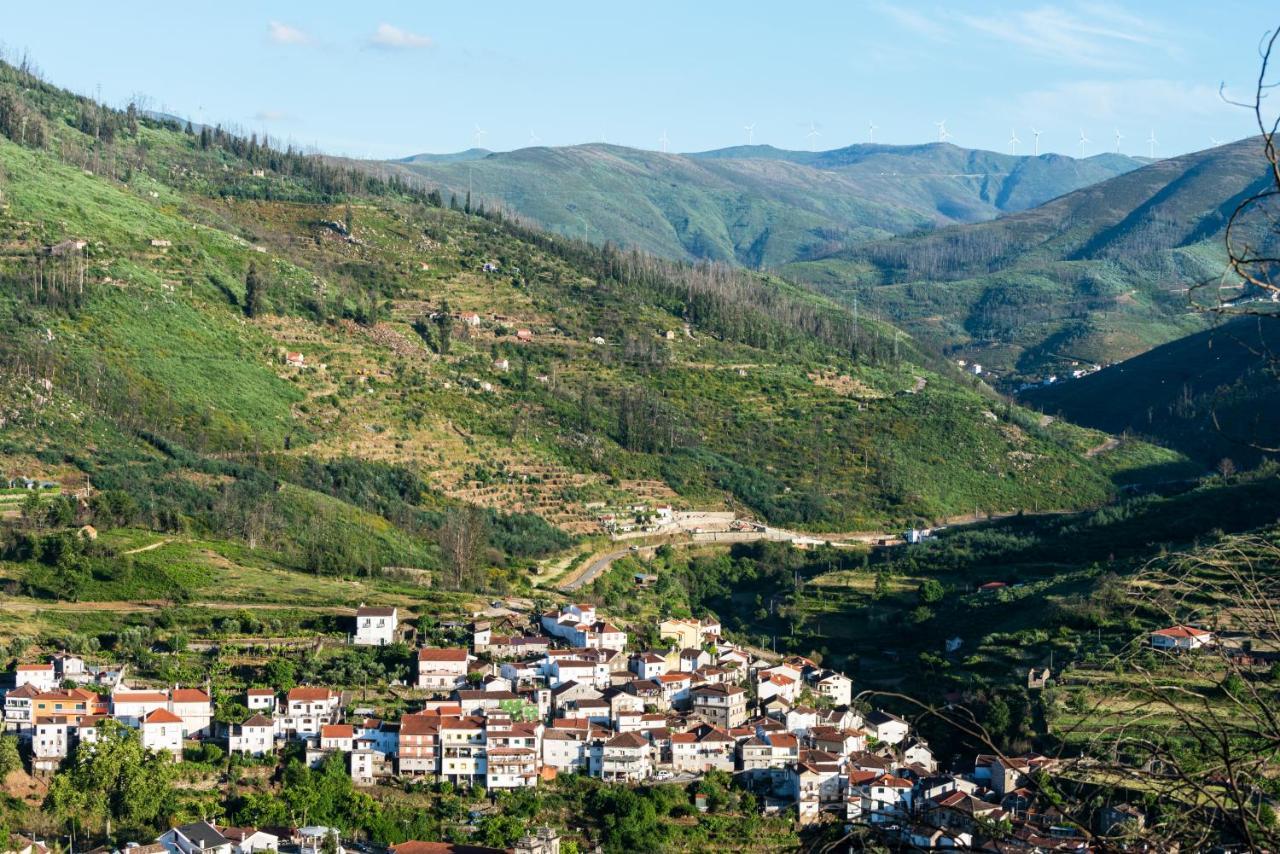 Quinta Da Tapada Villa Avô Exteriör bild